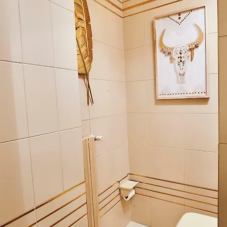 Penthouse Attico Cannon D Oro * Reggio Emilia